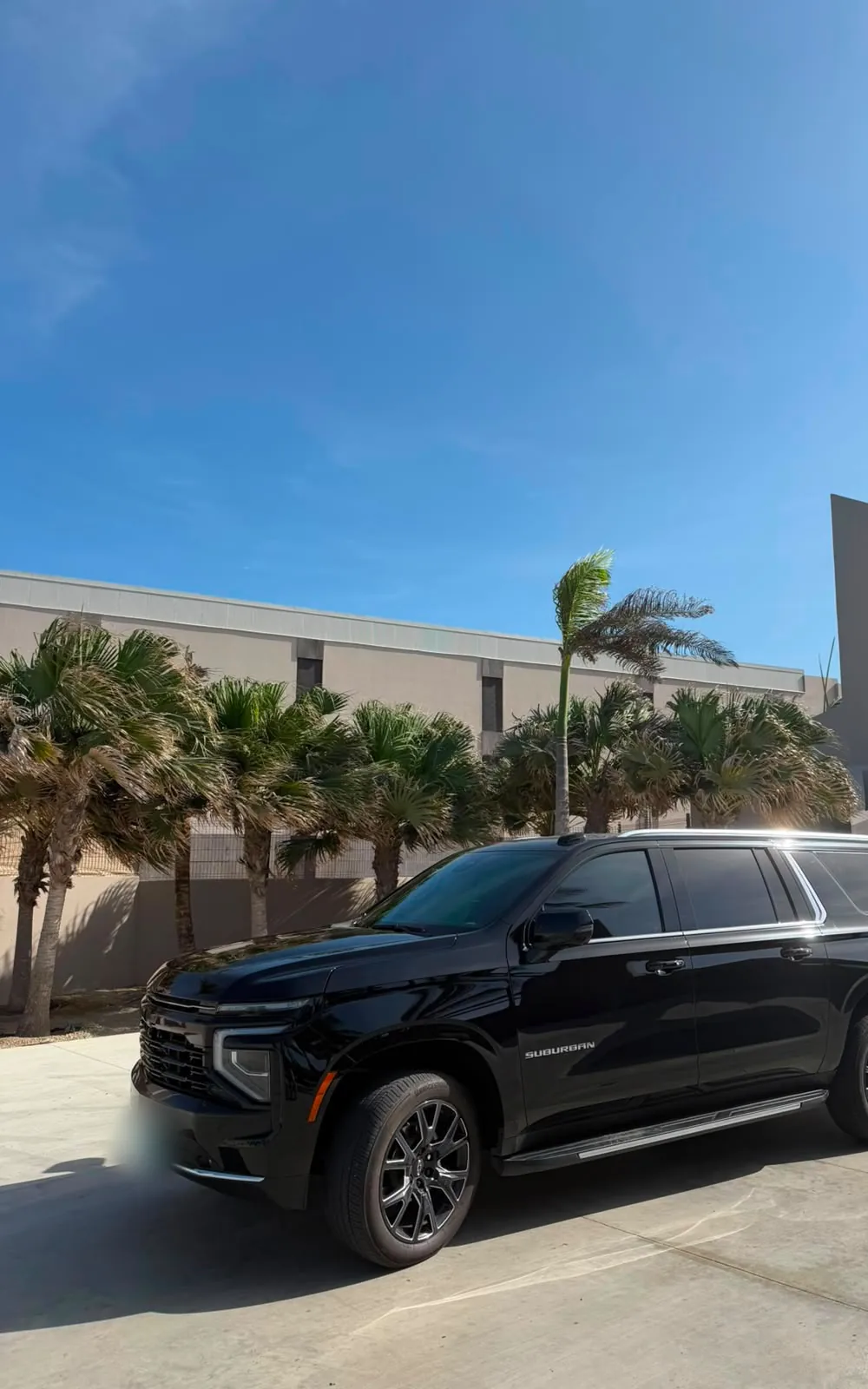 A black Chevrolet Suburban parked in front of palm trees and a modern building in Aruba
