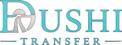Dushi Transfers logo