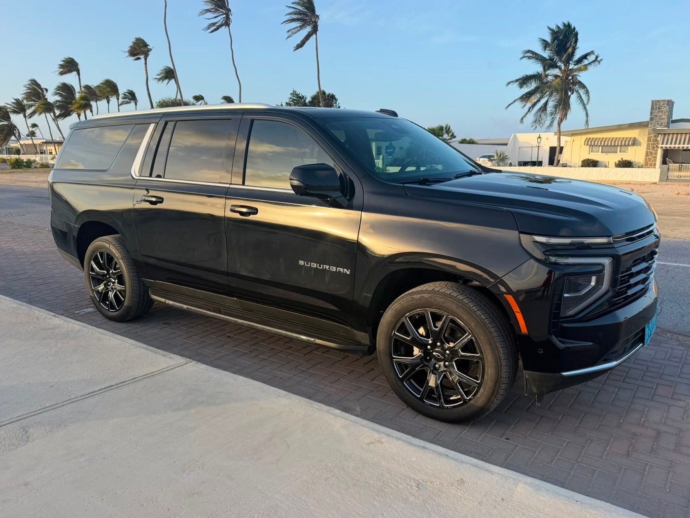 A Dushi Transfers SUV among palm trees at golden hour